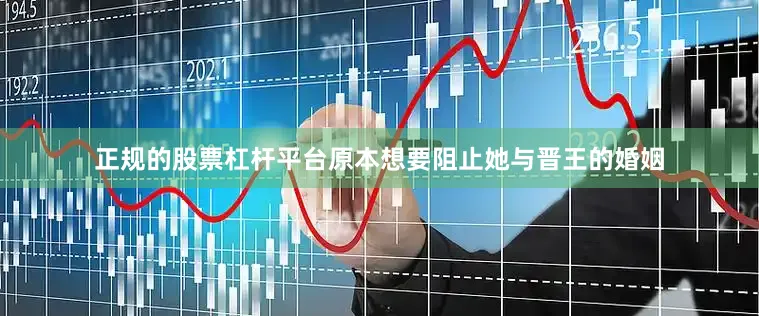 正规的股票杠杆平台原本想要阻止她与晋王的婚姻